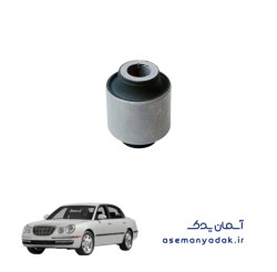 بوش طبق عقب کیا اپیروس