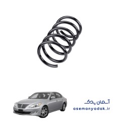 فنر لول هیوندا جنسیس