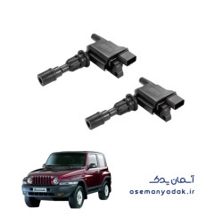 کویل احتراق سانگ یانگ کوراندو