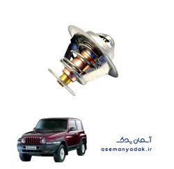 ترموستات سانگ یانگ کوراندو