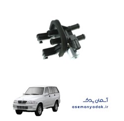 شیر بخاری سانگ یانگ موسو