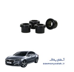 بوش رام پژو ۵۰۸
