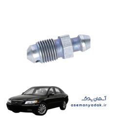 پیچ هواگیری کالیپر هیوندای آزرا