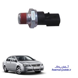 فشنگی روغن لیفان 620