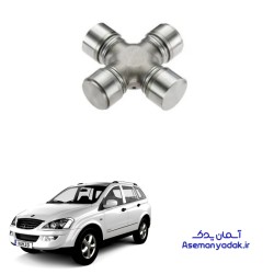 چهارشاخ گاردان سانگ یانگ کایرون
