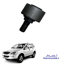 بوش طبق میانی کوچک سانگ یانگ کایرون