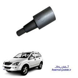 بوش طبق میانی بزرگ سانگ یانگ کایرون