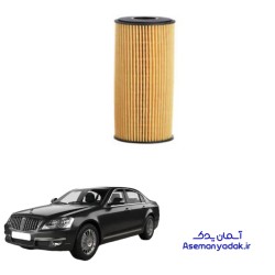 فیلتر روغن چیرمن سانگ یانگ