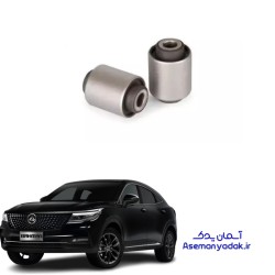 بوش طبق دیگنیتی